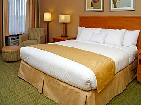 1 King Bed-Nonsmoking