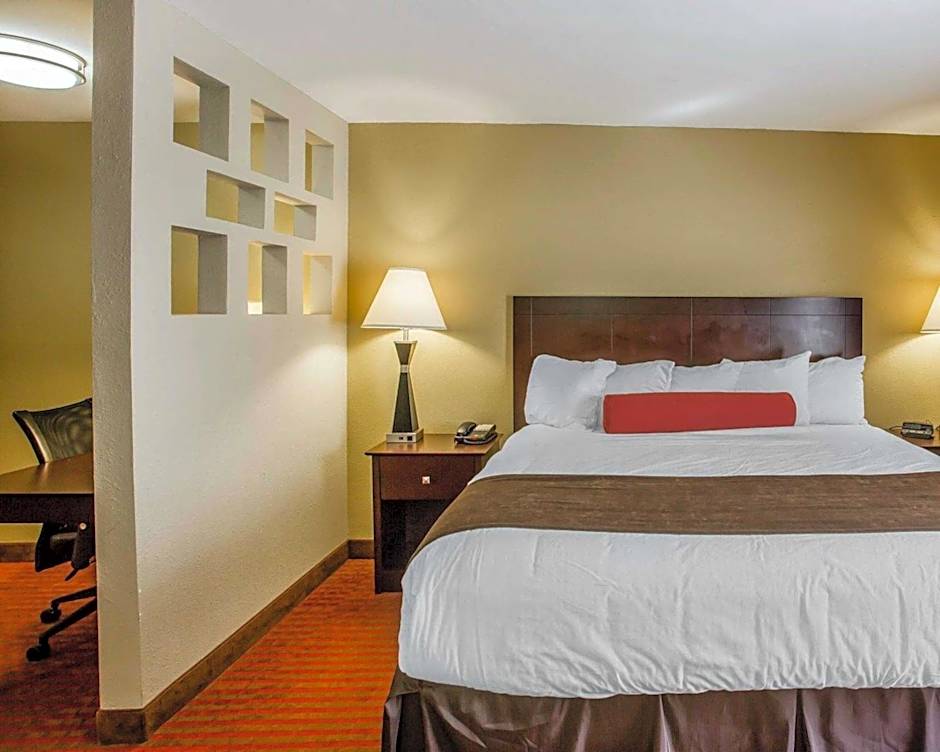 Photo 1 of 16 of 1 King Bed Suite