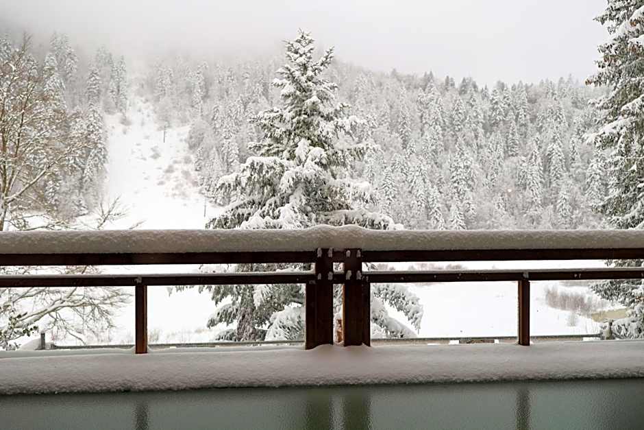 Domaine de Montagne - Hôtel Chalet Frère Joseph