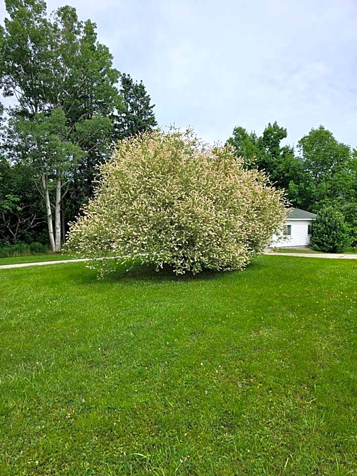 Fair Isle Motel & The Nest
