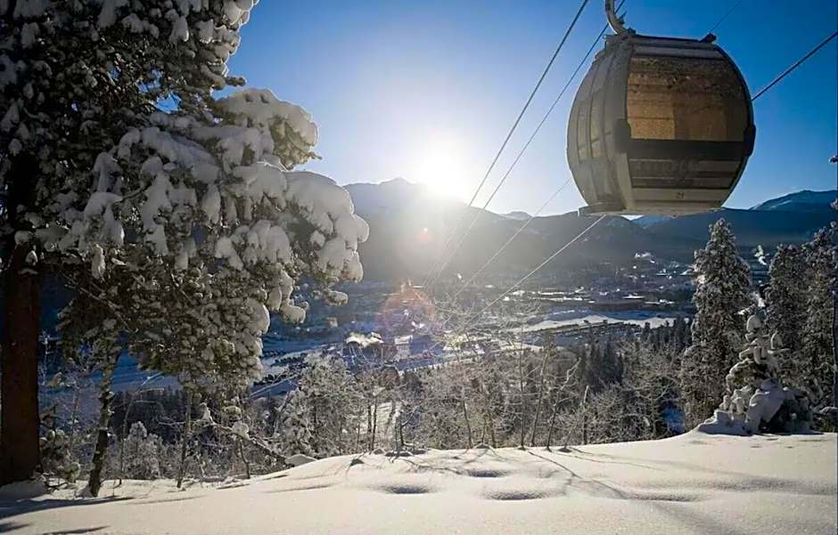 Remodeled Ski in and ski out Condo!