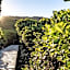 Thonga Beach Lodge