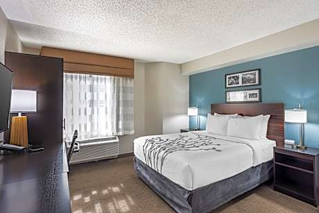 1 Queen Bed, Accessible, Roll-In Shower, Non-Smoking, No Pets Allowed
