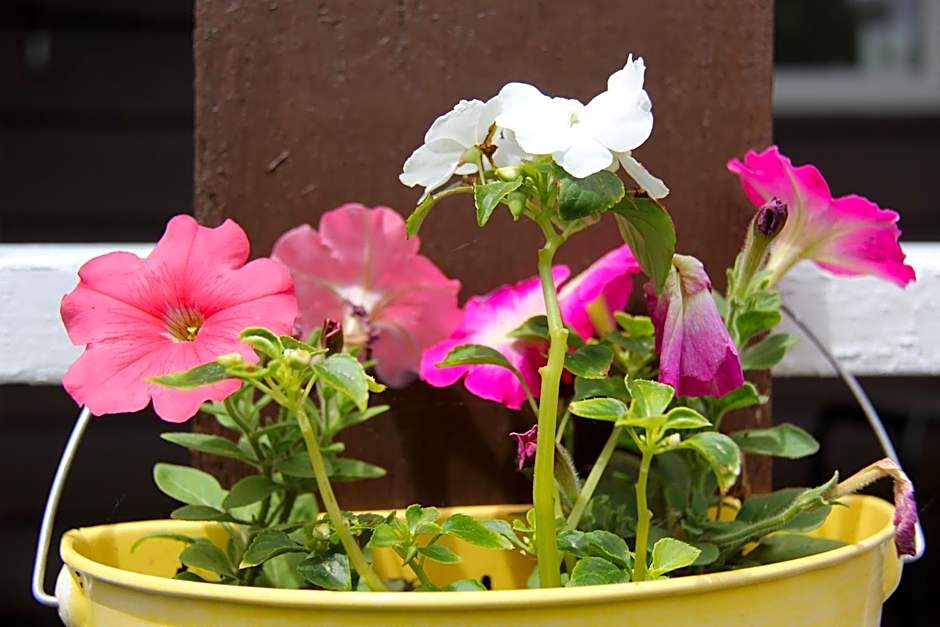 Serendib Bed and Breakfast