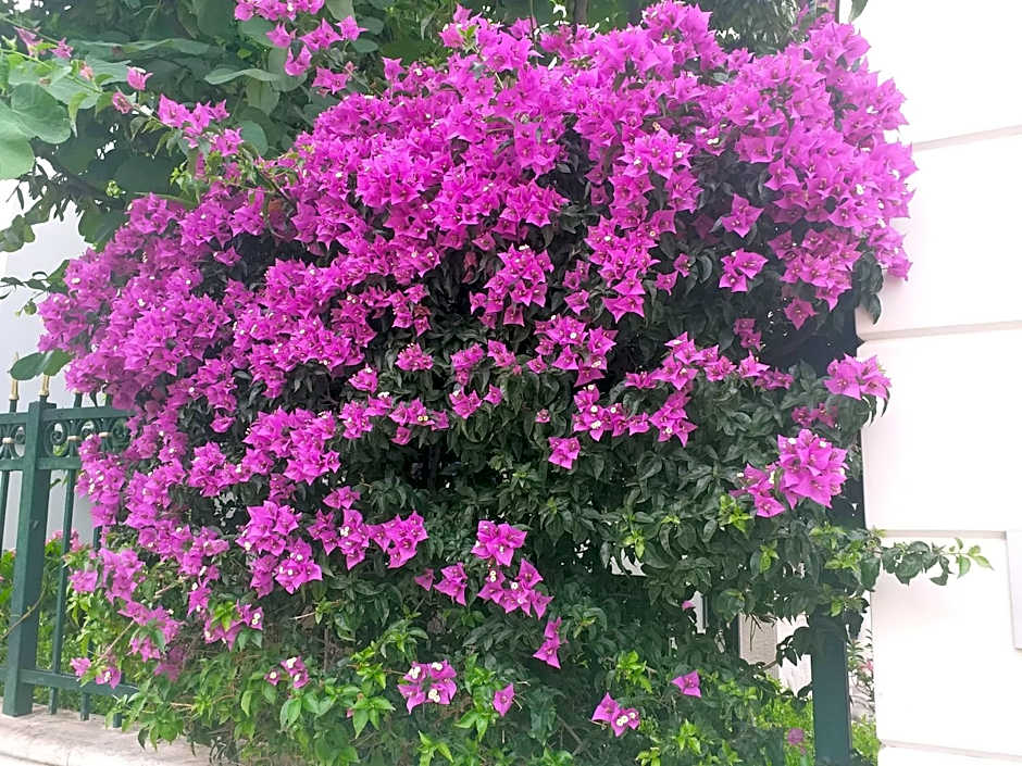 Falli Exclusive Rooms and Breakfast -Boutique B&B-