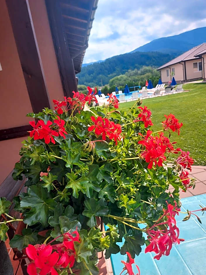 Вилен комплекс Дарибел