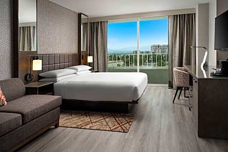 King Guest Room
