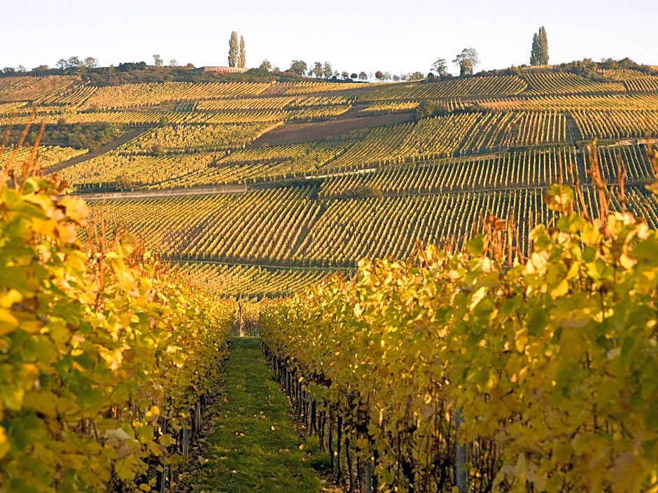 Novotel Mulhouse Bâle Fribourg