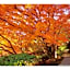 Kokura Recent Hotel - Vacation STAY 61113v