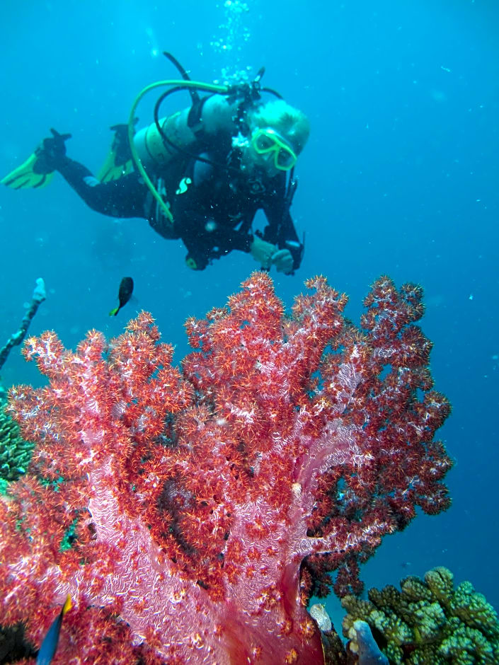 Adaaran Select Meedhupparu