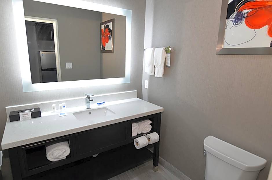 Best Western Plus Executive Residency Baytown