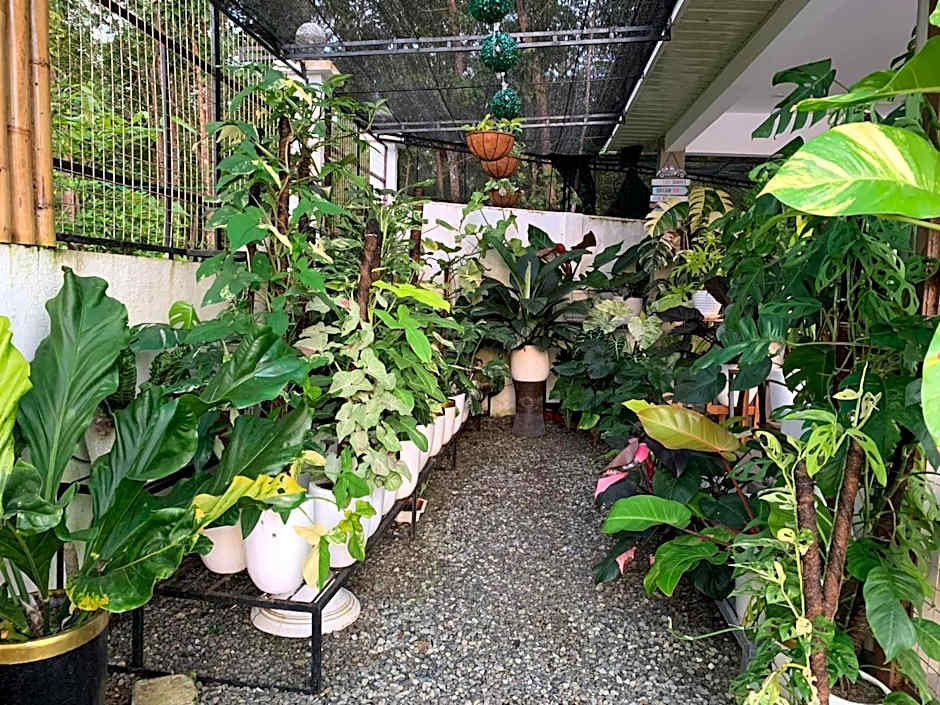 Sunshine Stay Panglao