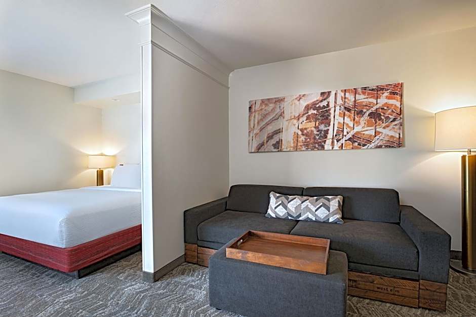 SpringHill Suites by Marriott Dallas Dfw Airport East/Las Colinas Irving