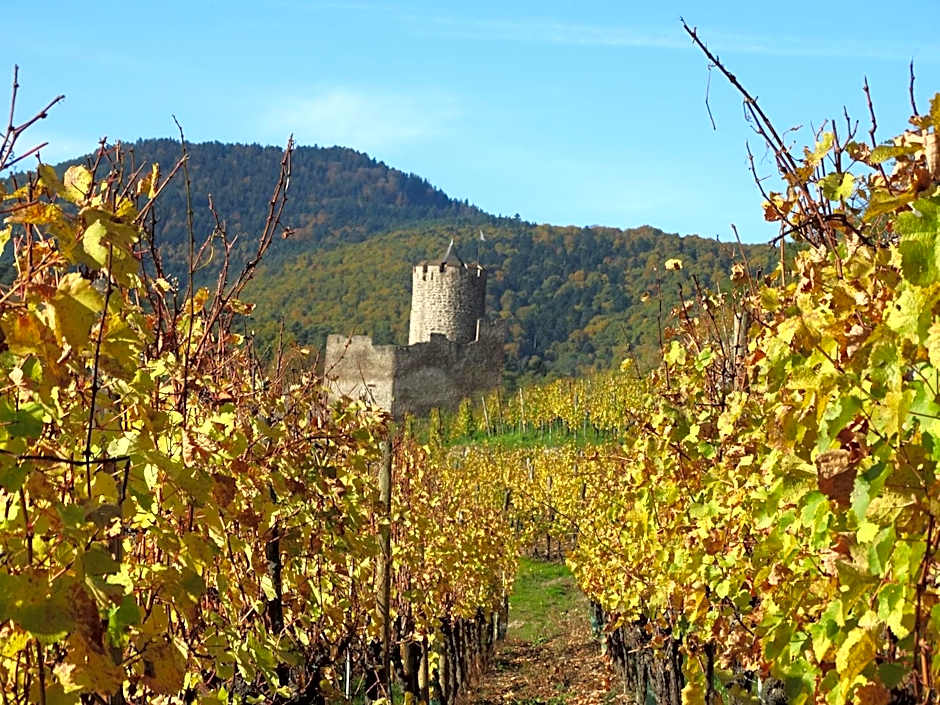 Hotel KLE, BW Signature Collection