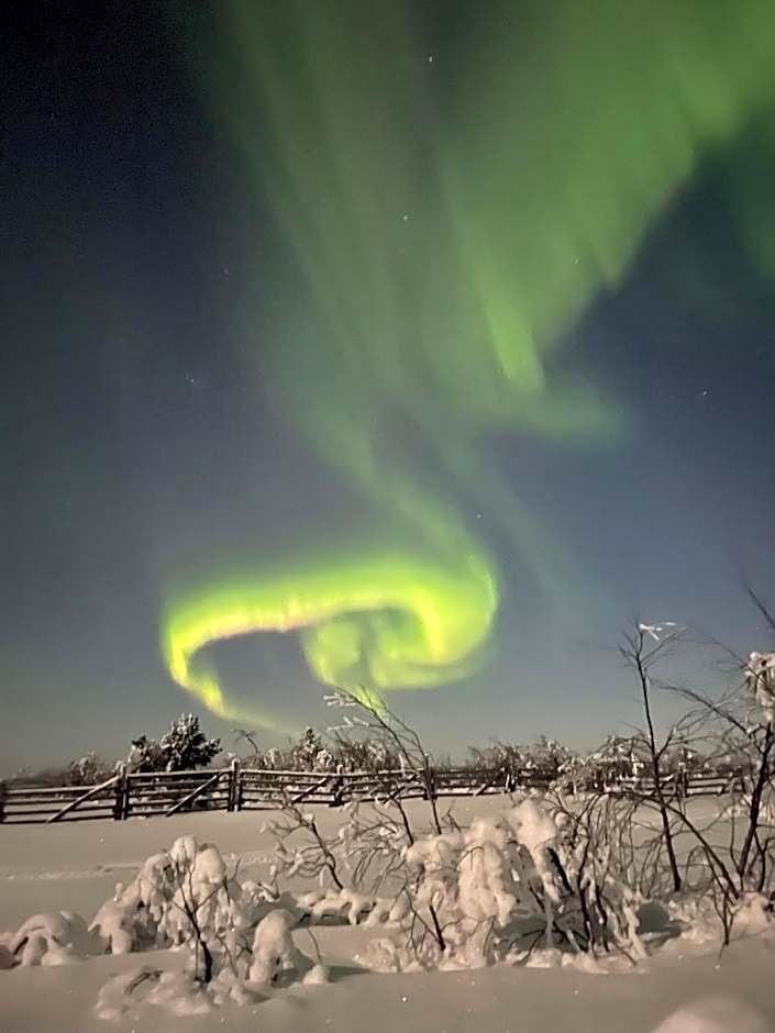 Arctic Lodge Hetan Kota