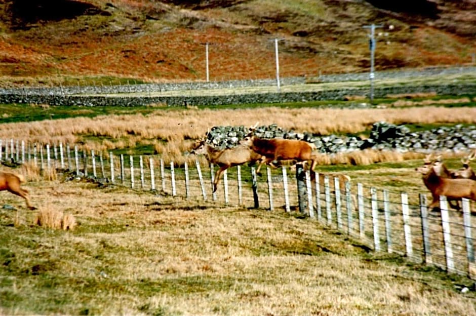 Sea Song, Selkie House
