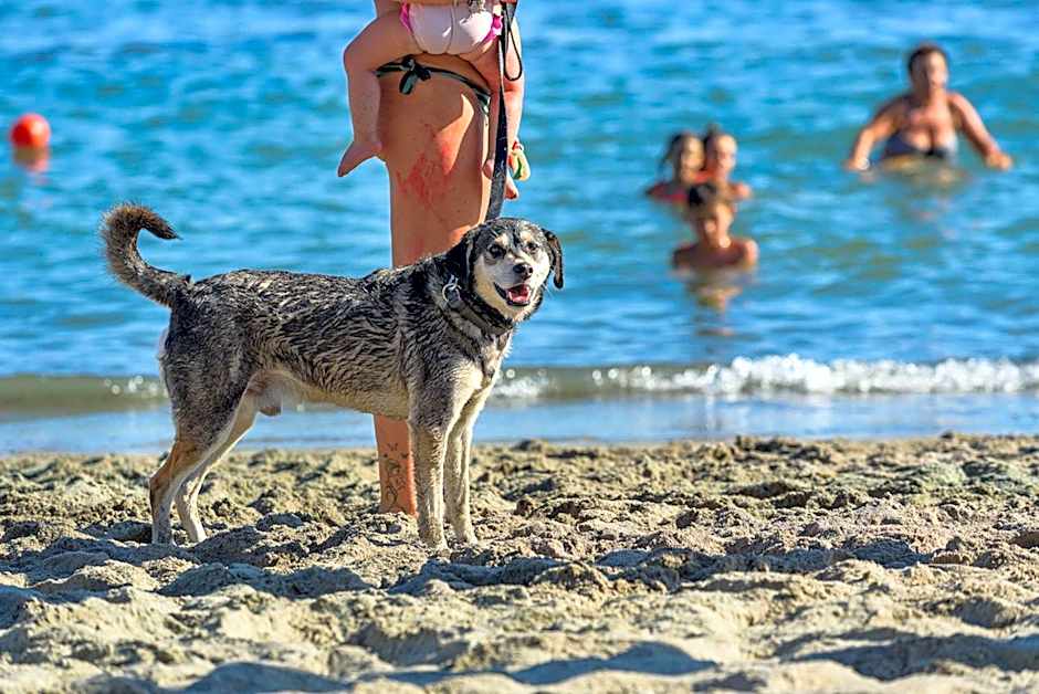 THR-ISA-Appartament plus with mezzanine, 4 beds, air conditioning and private outdoor area in Village with 6 swimming-pools