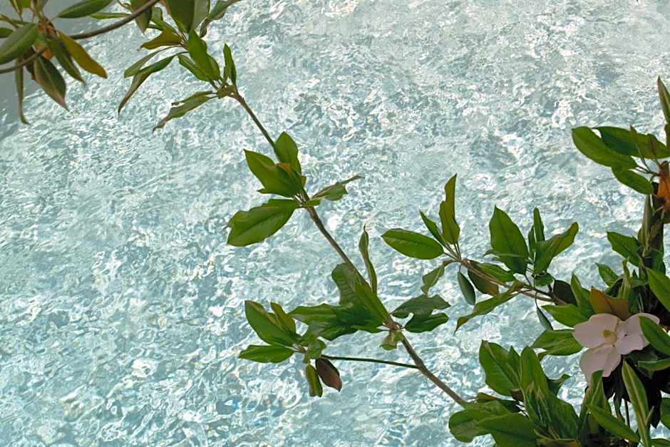 Stefanakis Hotel & Apartments