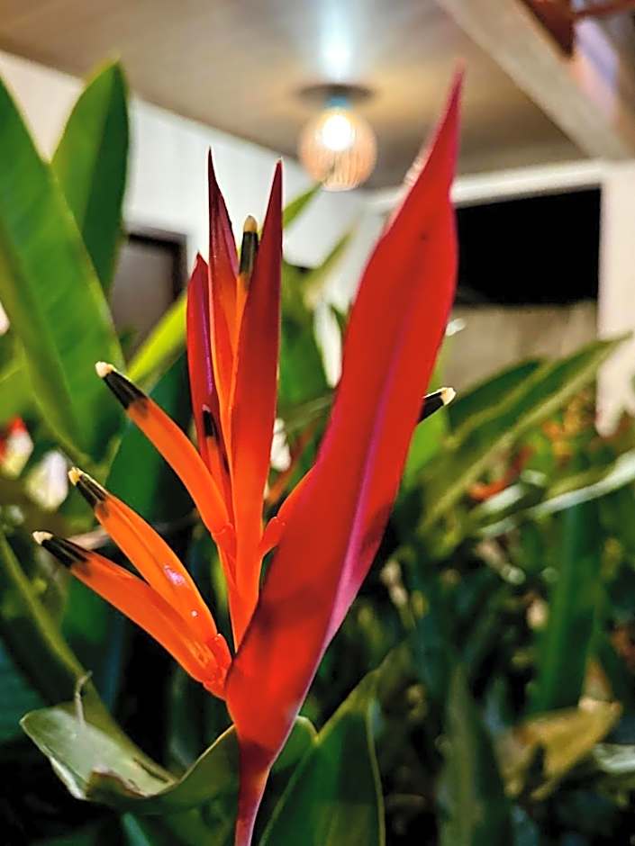 Mangabeiras - Casa de Hóspedes