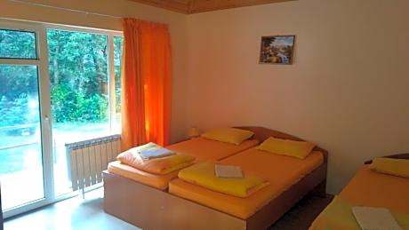 Deluxe Double or Twin Room with River View