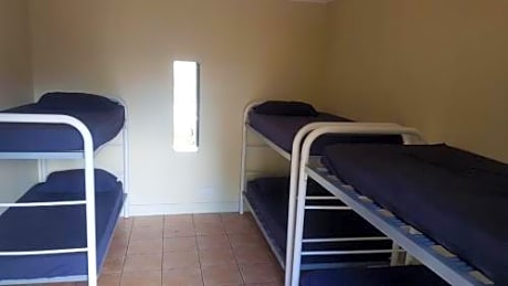 Bed in 6-Bed Mixed Dormitory Room