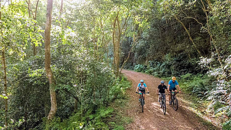 The Fernery Lodge & Spa