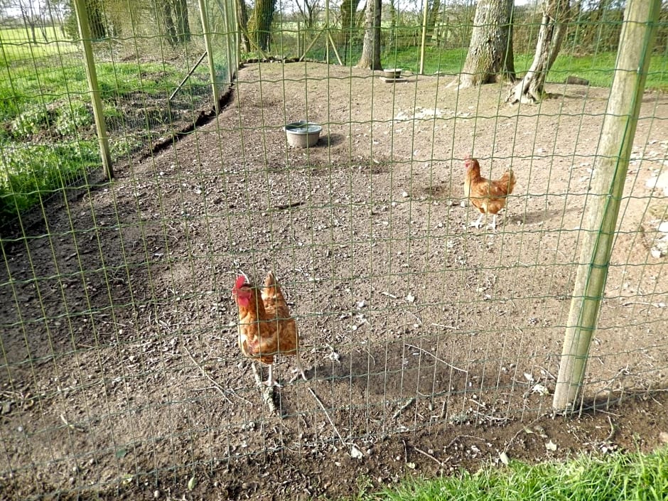 Studio Appart' Les jards