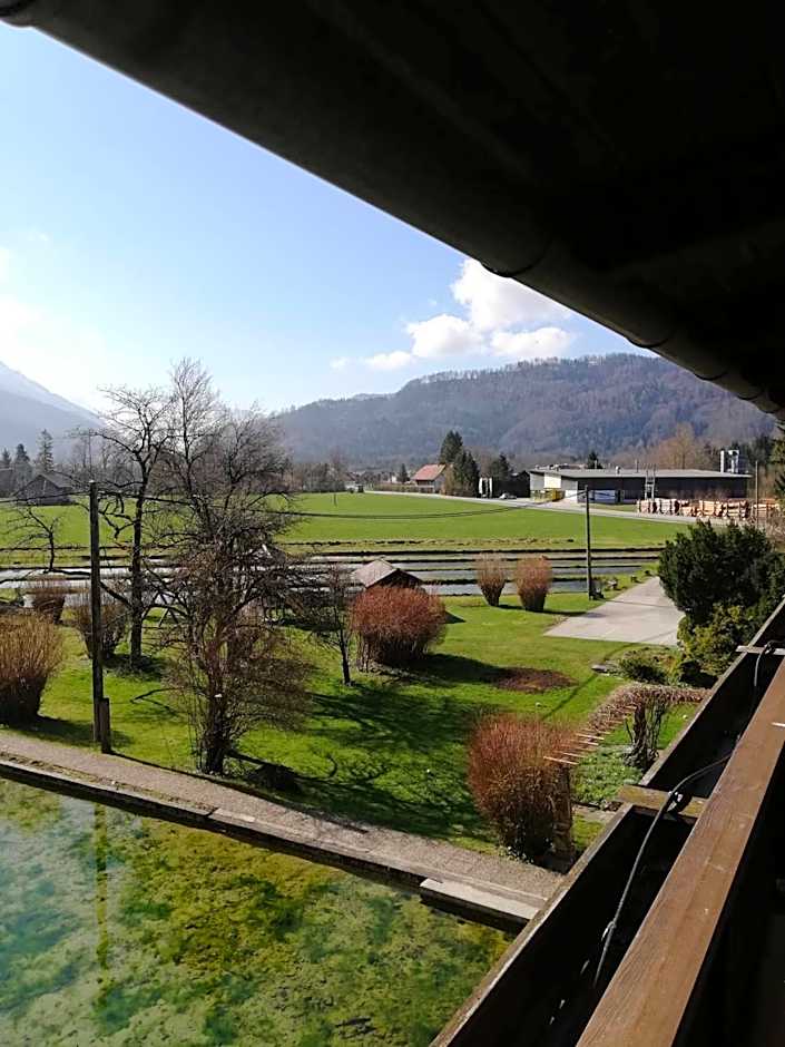 Wieselmühle Forellenhof