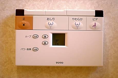 Superior Japanese-Style Room with shared bathroom