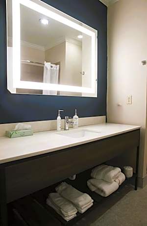 One-Bedroom King Suite with Roll In Shower - Mobility/Hearing Accessible - Non-Smoking