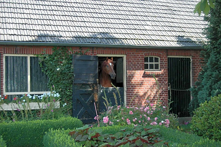 Erve Het Roolvink Boerderij Appartementen 40-50 M2