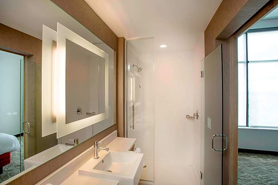 SpringHill Suites by Marriott Athens Downtown/University Area