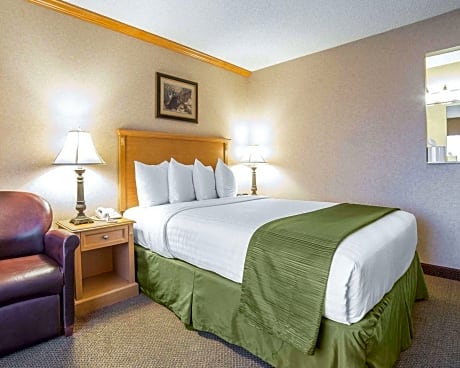 Queen Suite - Accessible/Non-Smoking - Dogs Only