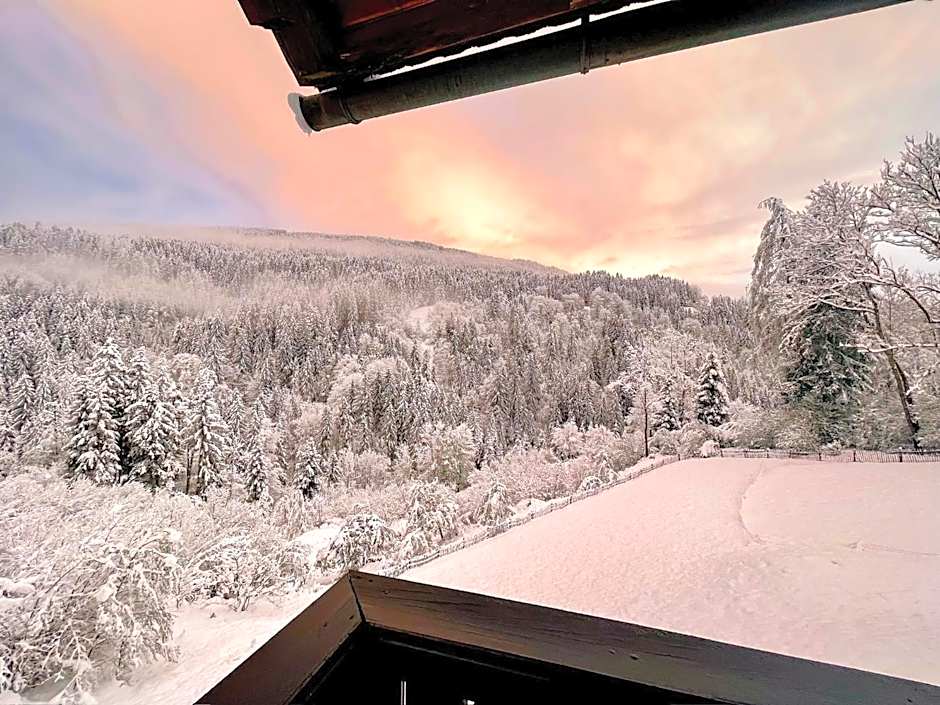 Pension Gasthof Arriach