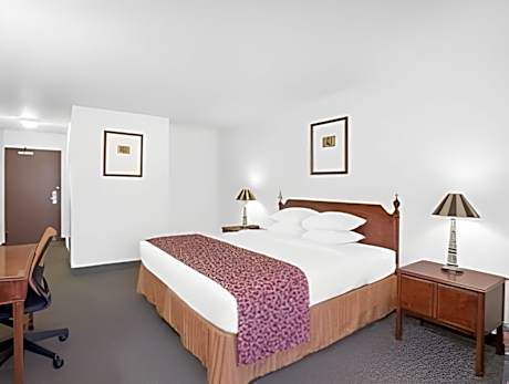 1 King Bed, Studio Suite, Non-Smoking