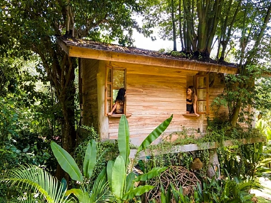 Roots Tree House