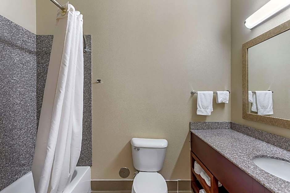 Comfort Inn & Suites Carbondale University Area