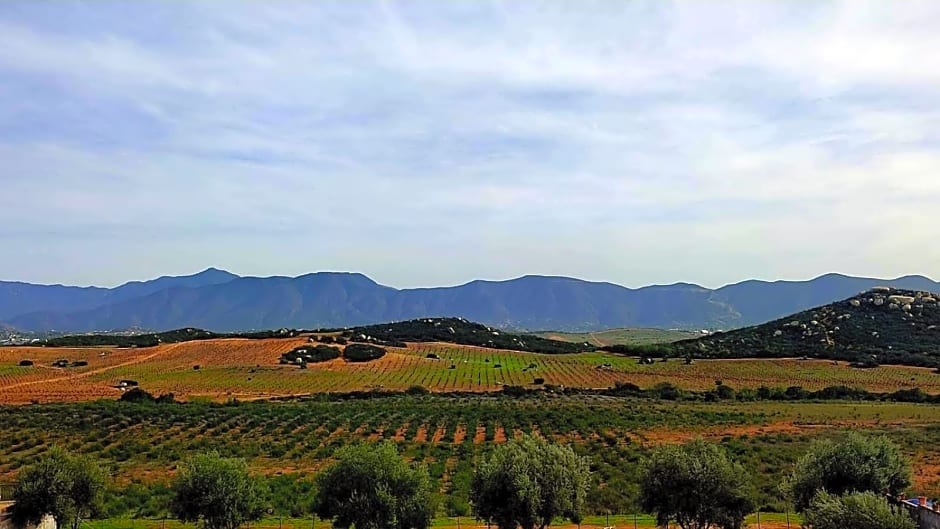 D'VINO Valle De Guadalupe