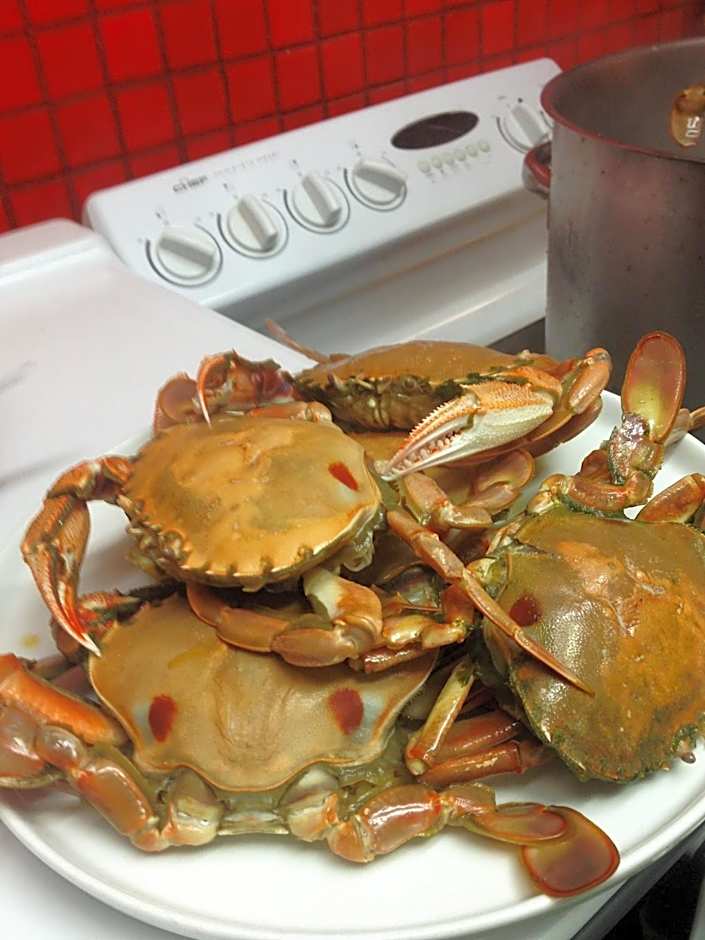 Abel Tasman Motor Lodge & Apartments