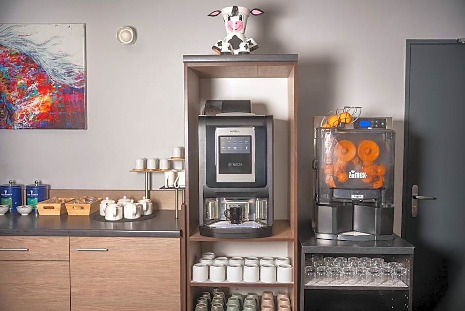 Alezan Hôtel & Résidence