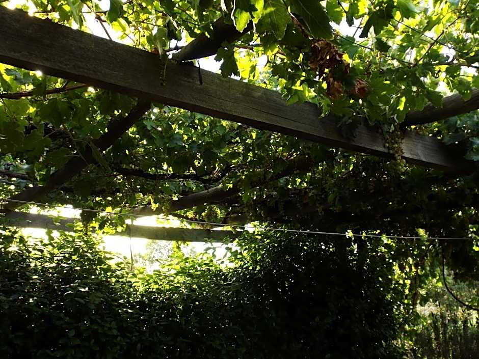 York's Lookout Lodge Bed And Breakfast