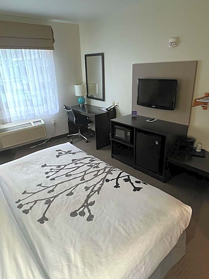 Sleep Inn & Suites Conference Center Eau Claire North