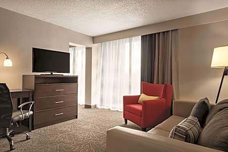 1 King Bed Suite Nonsmoking