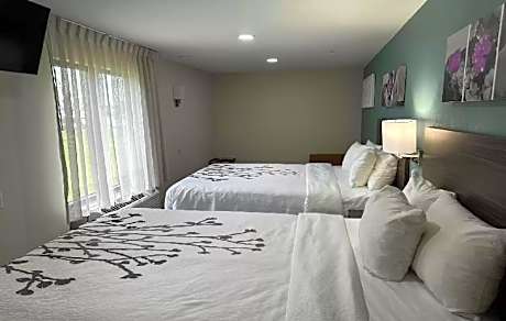 1 King Bed, 2 Queen Beds, Efficiency, Suite, Nonsmoking, Accessible