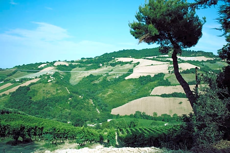 IL Podere del nonno