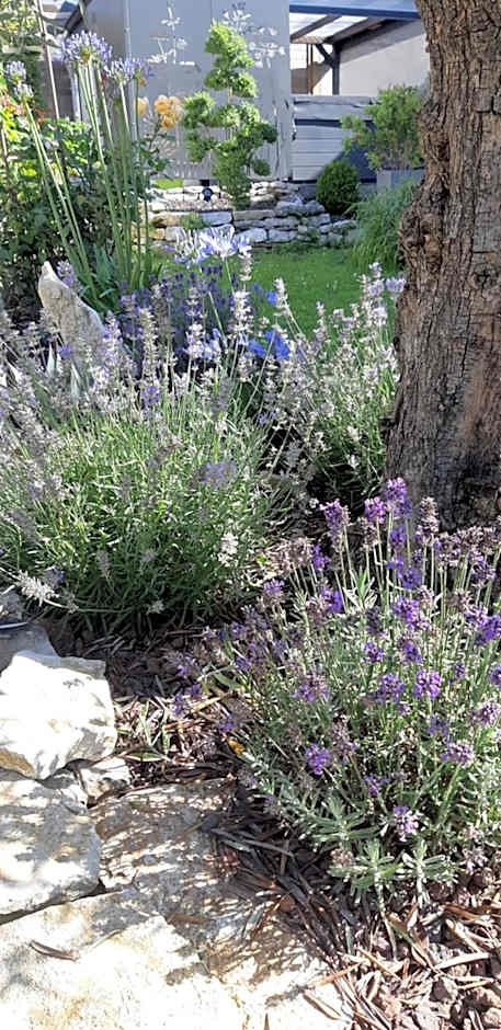 La Villanelle maison d'hôtes