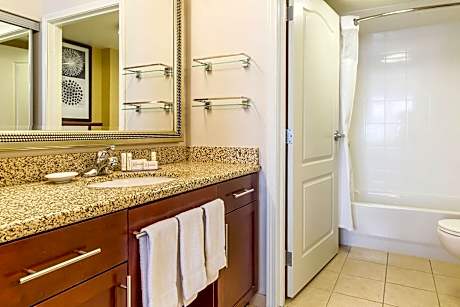 Suite, 1 Bedroom (1 King Bed and 1 Double Sofa Bed)