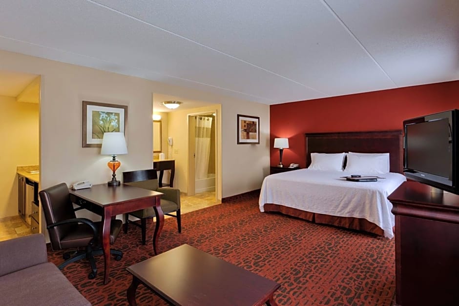 Hampton Inn By Hilton Rochester-Webster