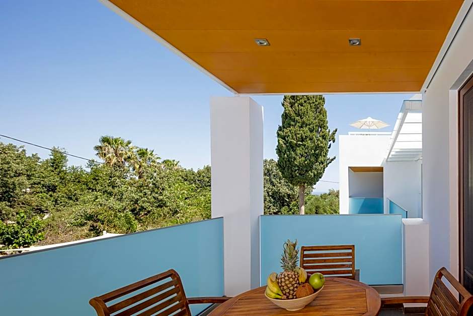 Coconut Palm Paradise