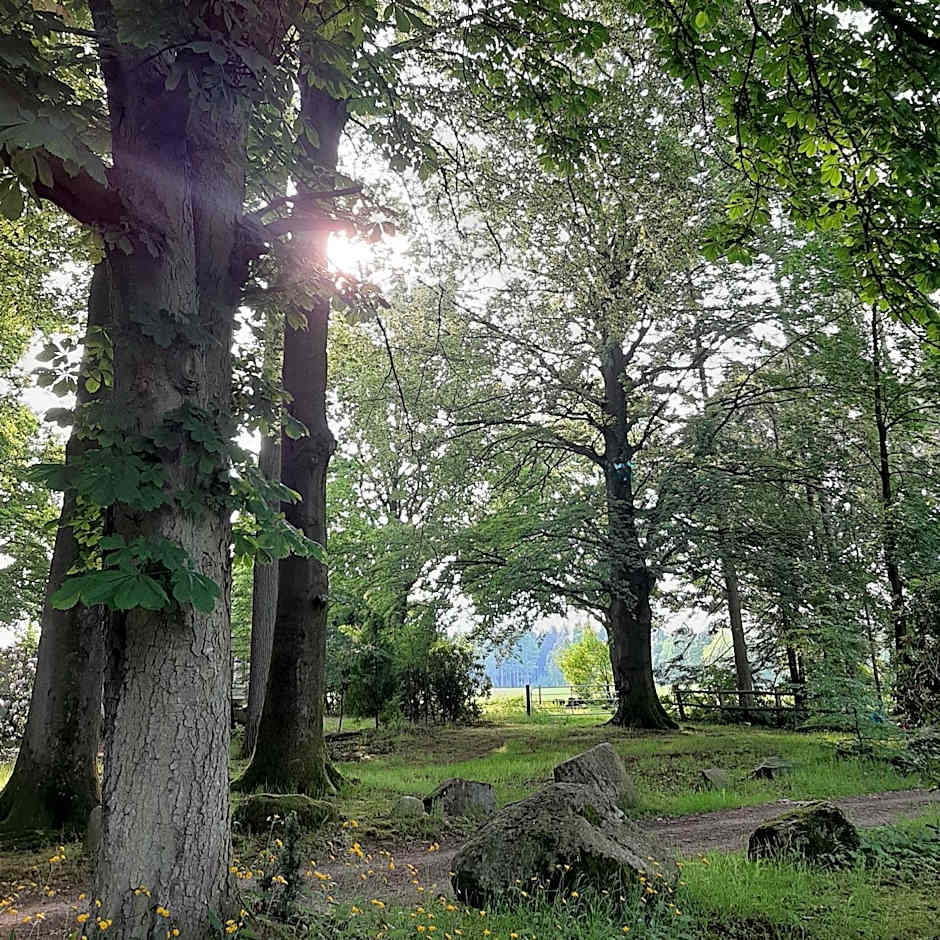 Pension Im Rehwinkel